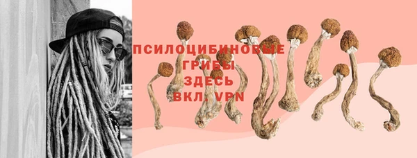 mdpv Горняк