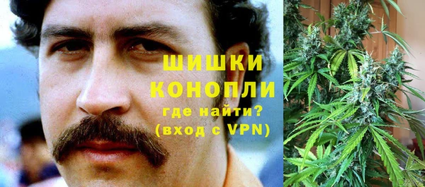 Альфа ПВП Горно-Алтайск