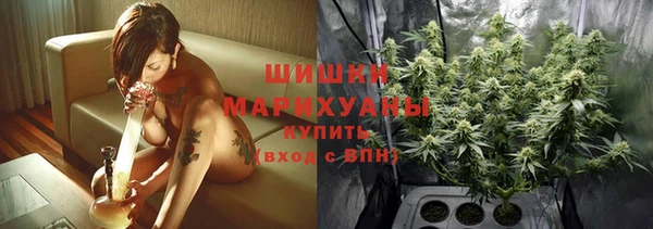 Альфа ПВП Горно-Алтайск