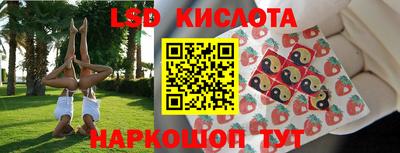 индика Заволжье