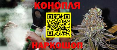 индика Заволжье