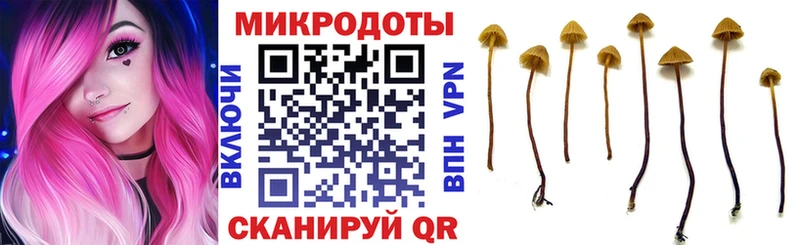 Псилоцибиновые грибы MAGIC MUSHROOMS darknet Telegram Мценск