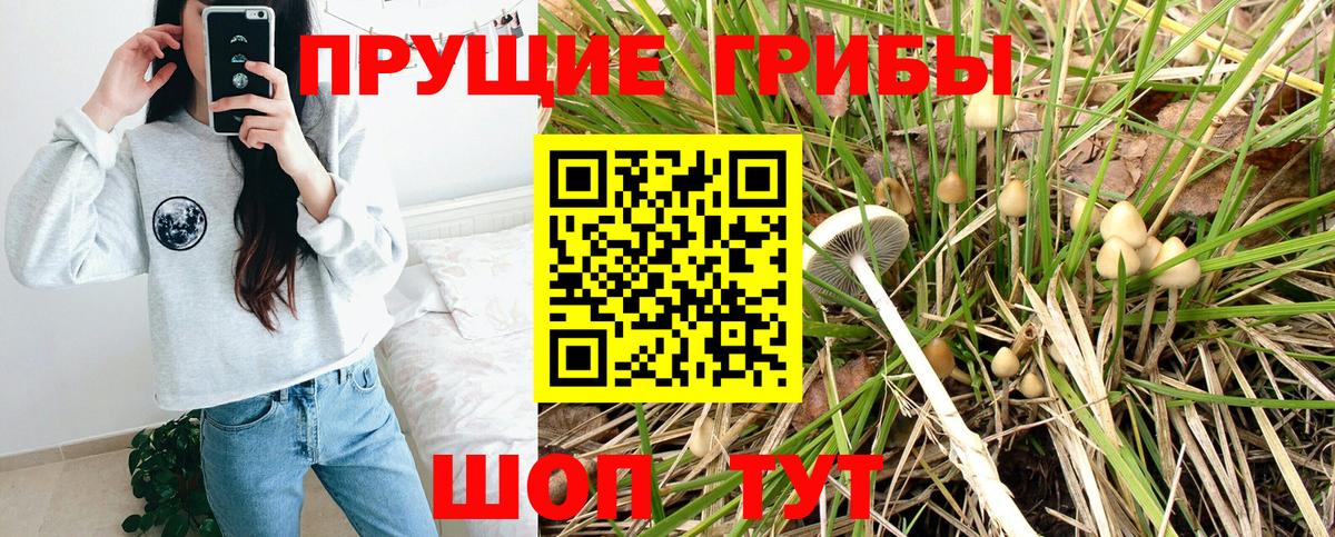 Мценск  Псилоцибиновые грибы мицелий  где купить наркоту  Вход с VPN 