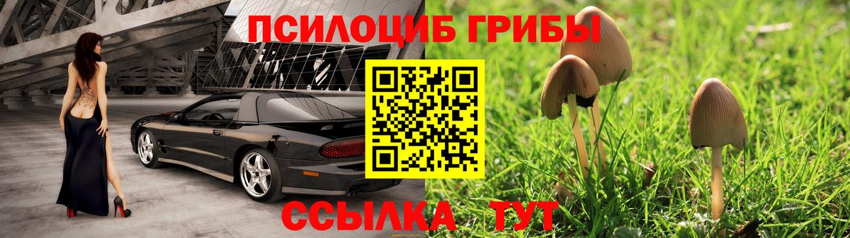 Галлюциногенные грибы мицелий Мценск